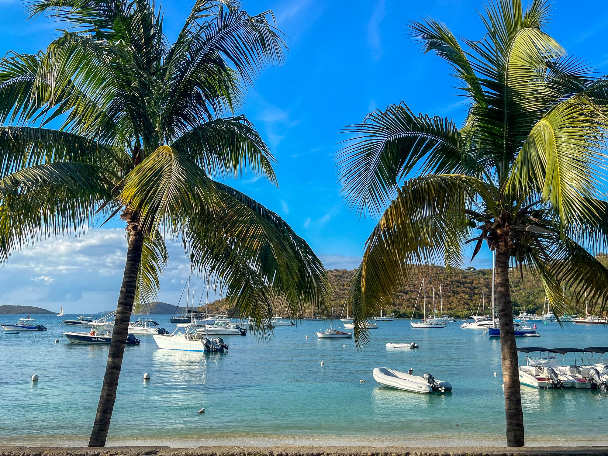Boats moored in Cruz Bay Harbor framed by palm trees, St. John